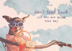 Hondje op fiets  10x1 stuks