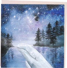 Walvis in universum 10x1 stuks