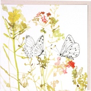 Bermboeket met vlinder 10x1 stuks