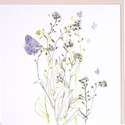 Vergeet me nietje 10x1 stuks