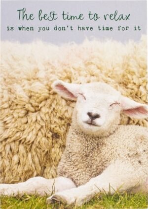 Postkaart the best time 10x1 stuks