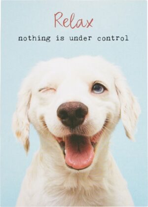 Postkaart relax nothing  10x1 stuks