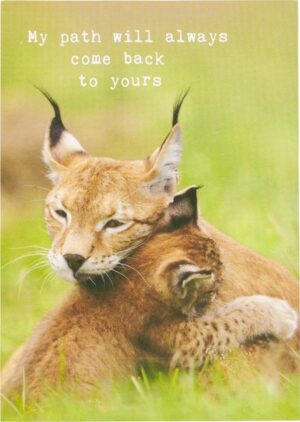 Postkaart my path 10x1 stuks