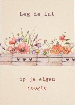 Postkaart de lat 10x1 stuks