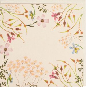 Postkaart weidebloemen 10x1 stuks