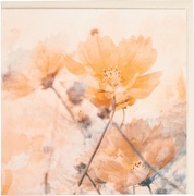 Dubbele kaart klaproos 5x1 stuks