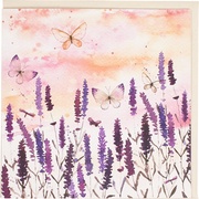 Dubbele kaart Vlinders Paars 5x1 stuks