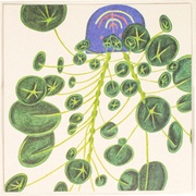 Postkaart Coheem 06  10x1 stuks