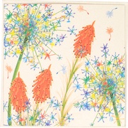 Postkaart Coheem 08 Kna 10x1 stuks