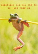 Postkaart Hang on  10x1 stuks