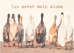 Postkaart you never walk alone 10x1 stu