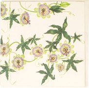 Dubbele kaart coheem passie 5x1 stuks