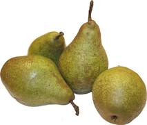 Xenia peer Demeter 7x1 kg.