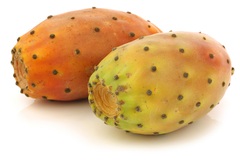 Cactusvijgen BIO 18x1 stuks