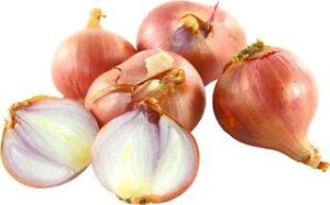 Sjalot Demeter 5x1 kg.