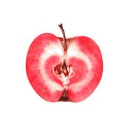 Appel Red Love BIO 11x1 kg.