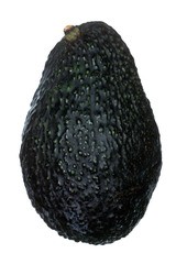 Avocado BIO 24x1 stuks