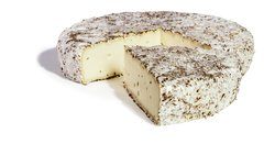 Geitenbrie rozemarijn BIO 1x1600 gr.