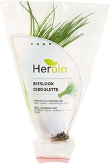 Pluk kruiden Bieslook BIO 6x1 stuks