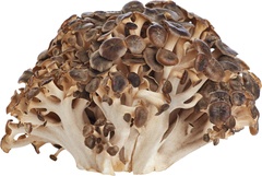 Eikhaas BIO 4x100 gr.