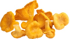 Cantharel Girolle  4x100 gr.