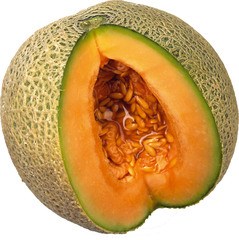 Meloen Cantaloupe BIO 6x1 stuks