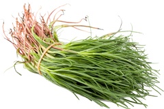 Monniksbaard Demeter 10x1 stuks