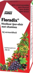 Floradix ijzer-elixer  1x250 ml.