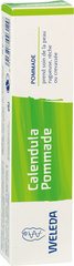 Calendula zalf / pommade 1x25 gr.