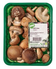 Shii-take verpakt BIO 4x100 gr.
