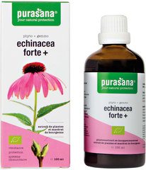 Echinacea forte+ 100ml  1x100 ml.