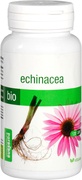 Echinacea V-caps  1x120 stuks