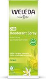 Citrus deodorant  1x100 ml.