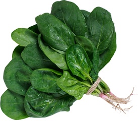 Spinazie grof BIO 5x1 kg.