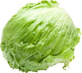 IJsbergsla BIO 5x1 stuks