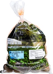 Pootaardappel Alouette BIO p/st.