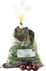 Plantui rood Red Baron BIO p/st.