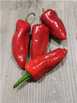 Paprika punt rood p/ kg