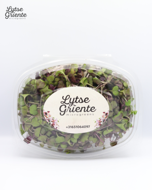 Lytse Griente Waterkers