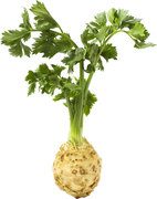 Knolselderij BIO 10x1 kg.
