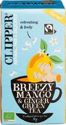 Green tea mango ginger BIO 4x20 builtjes