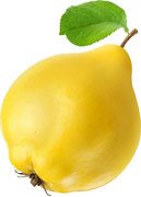 Kweepeer BIO 5x1 kg.