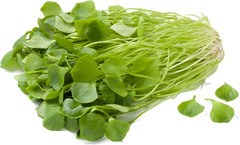 Postelein BIO 1x1 kg.